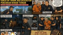 Kabur 3 Bulan ke Malang, Kakek 84 Tahun Jadi Eksekutor Pencurian Hewan Ternak Berhasil Diamankan Satreskrim Polres Bangkalan
