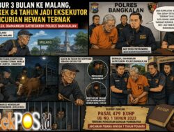 Kabur 3 Bulan ke Malang, Kakek 84 Tahun Jadi Eksekutor Pencurian Hewan Ternak Berhasil Diamankan Satreskrim Polres Bangkalan