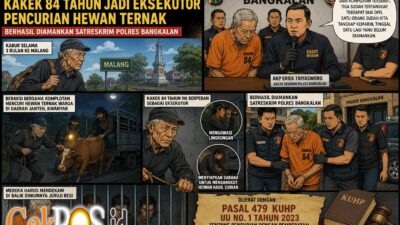 Kabur 3 Bulan ke Malang, Kakek 84 Tahun Jadi Eksekutor Pencurian Hewan Ternak Berhasil Diamankan Satreskrim Polres Bangkalan