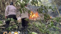 Polres Trenggalek Terjunkan Personel Jajaran Padamkan Api di Gunung Orak Arik