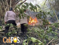 Polres Trenggalek Terjunkan Personel Jajaran Padamkan Api di Gunung Orak Arik