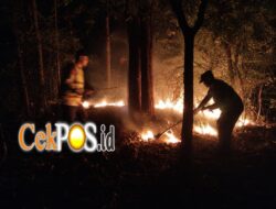 Respon Cepat Laporan Call Center 110, Polsek Kedunggalar Berhasil Padamkan Kebakaran Lahan di Ngawi