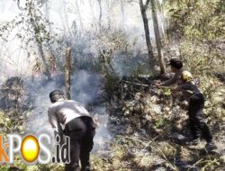Respon Cepat Call Center 110 Polres Ngawi, Kebakaran Lahan di Bukit Gogor Sine Berhasil Dipadamkan