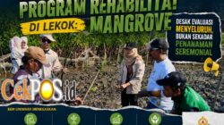 BEM UNIWARA Soroti Keberlanjutan Program Rehabilitasi Mangrove di Lekok: Desak Evaluasi Menyeluruh, Bukan Sekadar Penanaman Seremonial