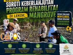 BEM UNIWARA Soroti Keberlanjutan Program Rehabilitasi Mangrove di Lekok: Desak Evaluasi Menyeluruh, Bukan Sekadar Penanaman Seremonial