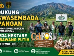 Satgas Pangan Polri Perkuat Swasembada Bawang Putih, Lahan Tanam di Sembalun Capai 534 Hektare,