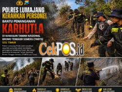 Polres Lumajang Buat Fire Break Darurat Antisipasi Karhutla TNBTS Meluas
