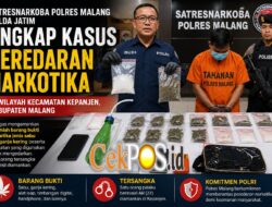Polres Malang Amankan Tersangka Pengedar Narkoba di Kepanjen, Sita Sabu 96 Gram dan Ganja 131 Gram