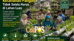 Kapolsek Krembangan dan Bhayangkari Panen Sawi Caisim, Dorong Warga Perkuat Ketahanan Pangan