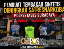 Polrestabes Surabaya Bongkar Pembuatan Tembakau Sintetis, Pelaku juga Sediakan Ganja