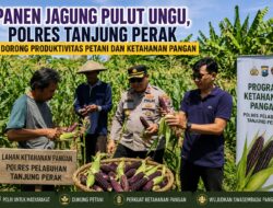 Sinergi Polisi dan Petani, Polres Pelabuhan Tanjung Perak Panen Jagung Pulut Ketan Ungu