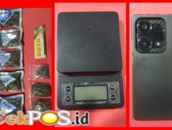 Satresnarkoba Polres Pelabuhan Tanjung Perak Ungkap Peredaran Ganja via Instagram, 41,8 Gram Disita