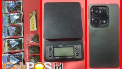 Satresnarkoba Polres Pelabuhan Tanjung Perak Ungkap Peredaran Ganja via Instagram, 41,8 Gram Disita