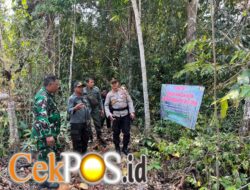 Polres Malang Gencarkan Deteksi Dini Karhutla, Sisir Area BKPH Sengguruh di Bantur