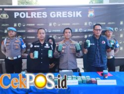 Terbongkar! 10,8 Kg Ganja Disamarkan dalam Tangki dan Bagasi Vespa di Gudang Ekspedisi Gresik