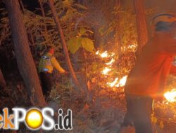 Sinergi Polsek Bungkal Bersama Tim Gabungan Berhasil Jinakkan Karhutla di Ponorogo