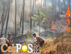 Polres Ponorogo dan Tim Gabungan Tembus Medan Curam Lereng Gunung Limas Padamkan Api Karhutla