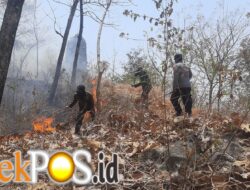 Respons Cepat Polres Ponorogo dan Tim Gabungan Berhasil Jinakkan Karhutla di Sampung