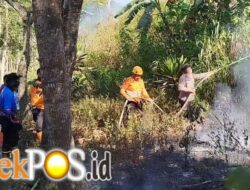 Sinergi Polres Bondowoso dan Tim Gabungan Padamkan Karhutla di Kawasan Wisata Black Lava Ijen