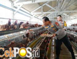 Polda Metro Jaya Jadi Contoh Penguatan Rantai Pasok MBG, Polri Dorong Jajaran Kembangkan Potensi Pangan Lokal