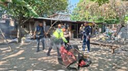 Polsek Waru Bongkar Arena Sabung Ayam di Bungurasih Utara