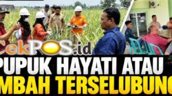 Dugaan B3 Mengarah ke Pupuk PT Enero, Hasil Laboratorium Jadi Penentu