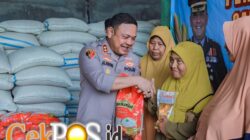 Dukung Ketahanan Pangan, Polres Jember Gandeng Bulog Serap Hasil Panen Jagung Petani Puger