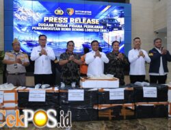Polri Ungkap Jaringan Penyelundupan Baby Lobster Lintas Negara, Dua Pelaku Ditangkap