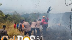 Polda Jatim dan Tim Gabungan Tangani Karhutla Gunung Arjuno Sisir 4 Wilayah