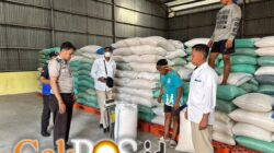 Polres Pelabuhan Tanjung Perak Pasok 1 Ton Jagung Hasil Panen Binaan ke Bulog