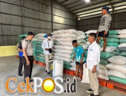 Polres Pelabuhan Tanjung Perak Pasok 1 Ton Jagung Hasil Panen Binaan ke Bulog